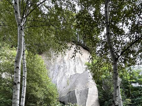 石山緑地 石山緑地の写真