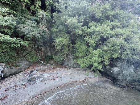岩場と緑が調和する穏やかな海辺 岩場と緑が調和する穏やかな海辺 海岸,浜辺,入り江の写真素材