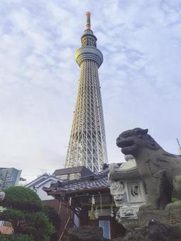 スカイツリーと狛犬 スカイツリー,ランドマーク,風景の写真素材