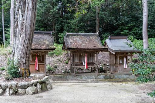 滋賀 大笹原神社 本殿横の摂末社 滋賀 大笹原神社 本殿横の摂末社 大笹原神社,大笹原,神社の写真素材
