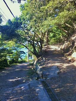 友ヶ島の風景 友ヶ島,風景,島の写真素材