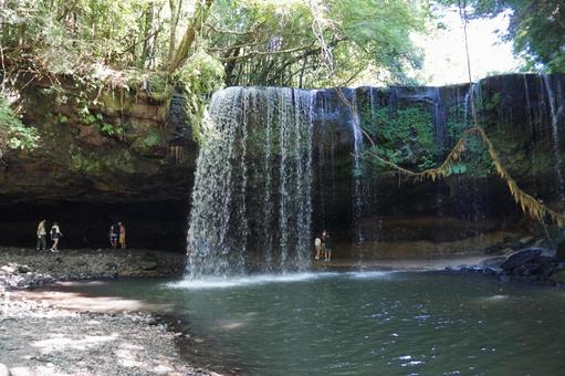 鍋ヶ滝 鍋ヶ滝,滝,木の写真素材