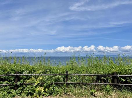 猿島から見た東京湾 猿島から見た東京湾の写真