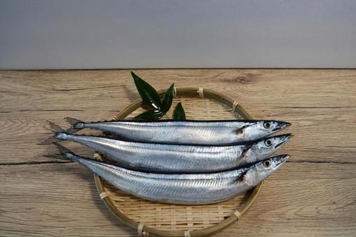 新鮮な脂がのったサンマ さんま,海水魚,海産物の写真素材