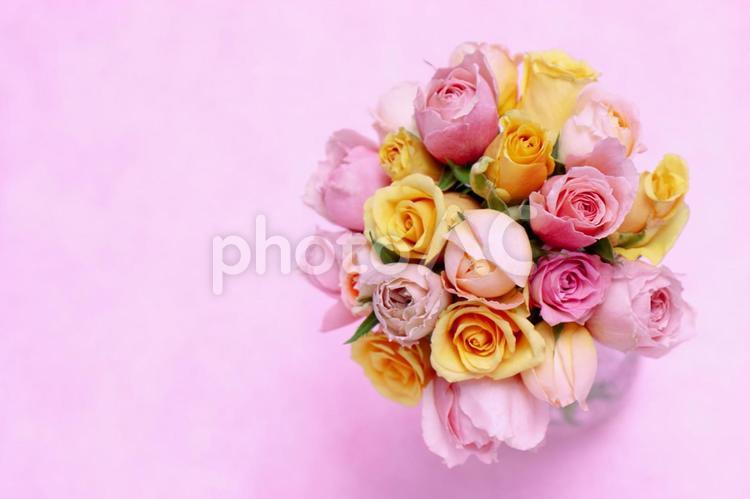 主に黄色やピンクのばら花束素材 花,ピンク,バラの写真素材