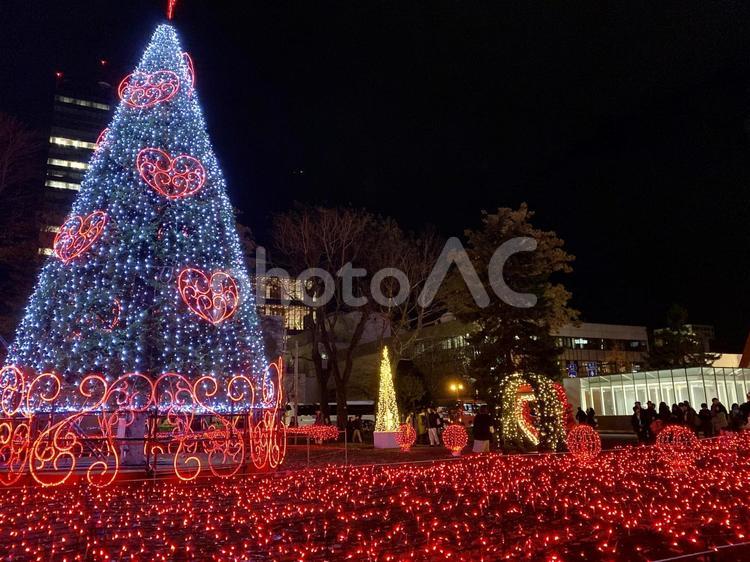 札幌大通公園　ホワイトイルミネーション６ 夜景,札幌,大通公園の写真素材
