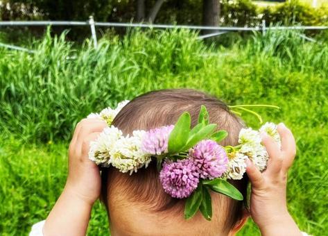 白詰草の花冠 白詰草の花冠 子ども,花冠,草花の写真素材