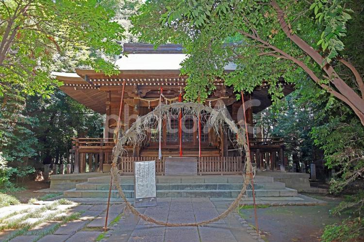 土支田八幡宮（練馬） 土支田八幡宮,俵久保の天神様,誉田別命の写真素材