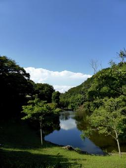 6月下旬の鎌倉中央公園、上池 6月下旬の鎌倉中央公園、上池 池,湖,水の写真素材