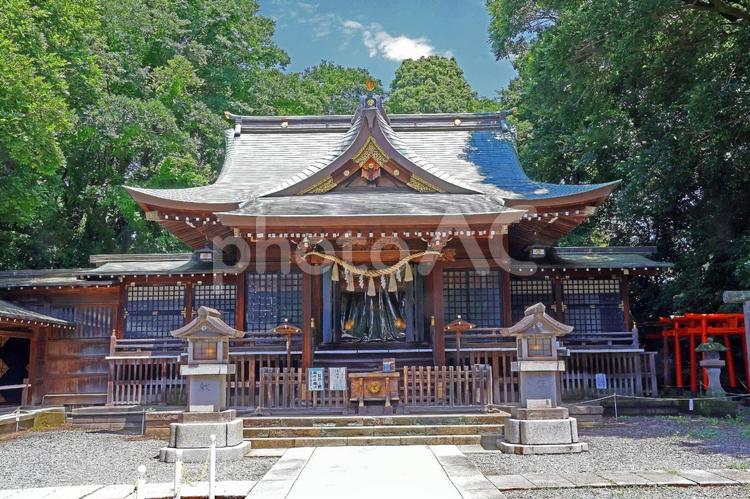 根村氷川神社（板橋） 根村氷川神社,素戔嗚尊,倉稲魂命の写真素材