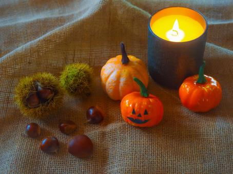 ハロウィン、南瓜、キャンドル、栗、毬栗 ハロウィン、南瓜、キャンドル、栗、毬栗 ハロウィン,秋,ディスプレイの写真素材