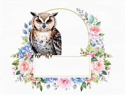 フクロウと花のテキスト枠 フクロウと花のテキスト枠の写真