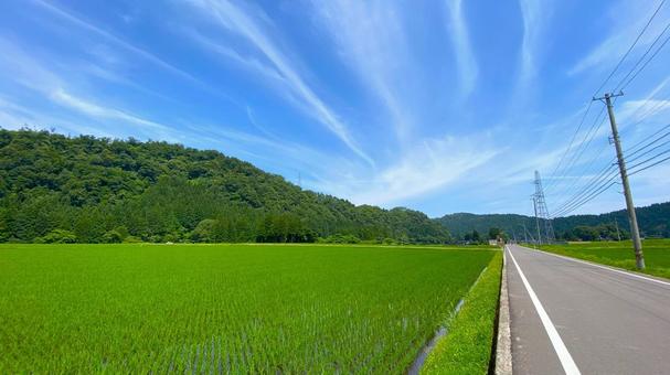 夏の田園風景(石川・白山市) 夏の田園風景(石川・白山市) 田舎,田んぼ,田園の写真素材