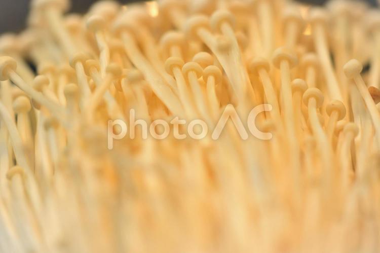 食べ物　えのきだけ 食べ物,鍋物,具材の写真素材