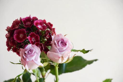 Photo, nagisa, nadesico, flour, 