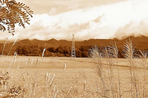 2025年9月の里山25 田んぼ,水田,稲の写真素材