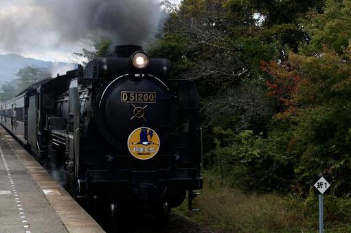 駅に到着するSL d51,デゴイチ,蒸気機関車の写真素材