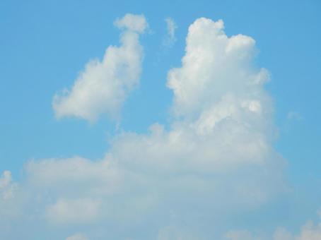 【風景写真】夏空 【風景写真】夏空の写真