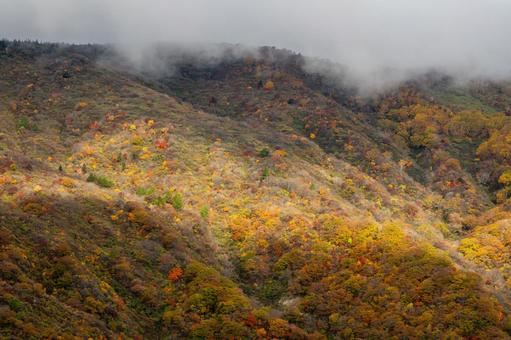 蔵王の紅葉⒁ 蔵王,紅葉,黄葉の写真素材