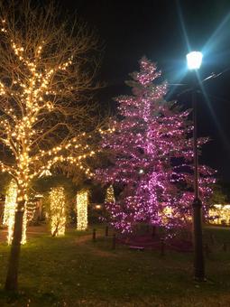 illumination, illumination, street light, christmas, JPG