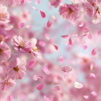 ロマンチックな桜の花びらが舞う春景色 ロマンチックな桜の花びらが舞う春景色の写真