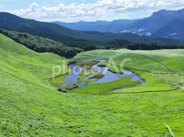 夏の曽爾高原　お亀池 曽爾高原,夏,緑の写真素材