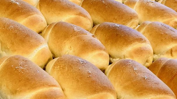 塩パン/バター香る 塩パン,塩,ベーカリーの写真素材