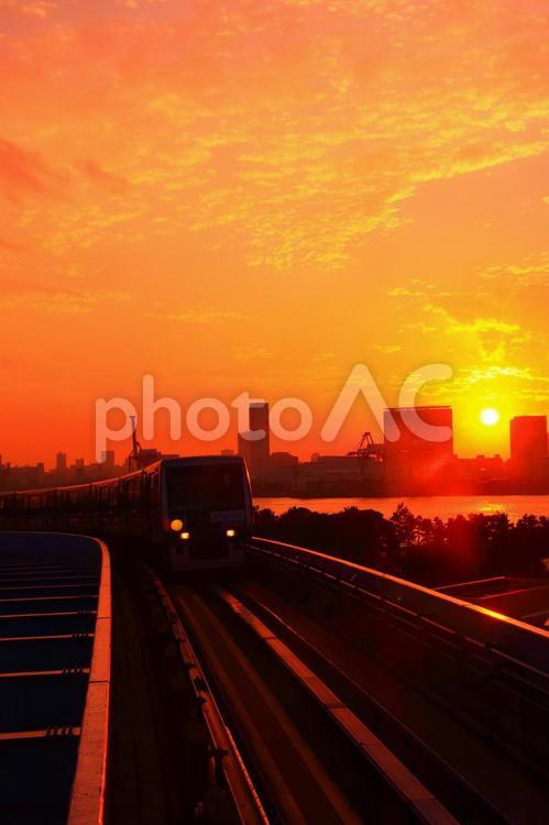 ゆりかもめと夕焼け ゆりかもめ,お台場,台場の写真素材
