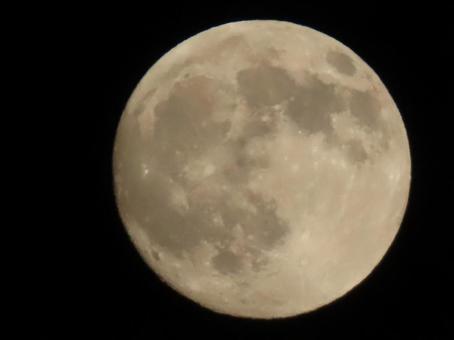 中秋の名月 中秋の名月 10月,秋,中秋の名月の写真素材