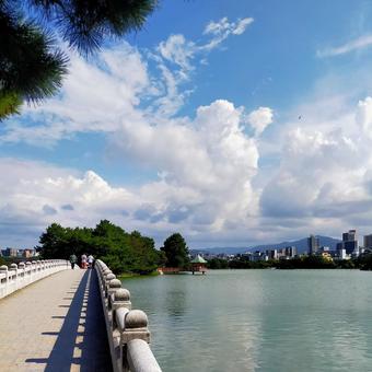 公園 公園 福岡,夏,風景の写真素材