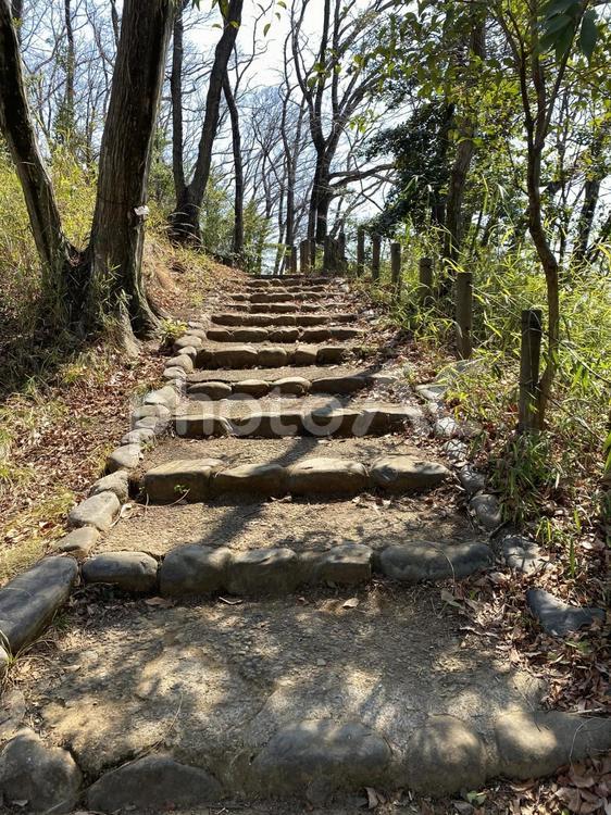 木陰にある石段 石段,階段,木陰の写真素材