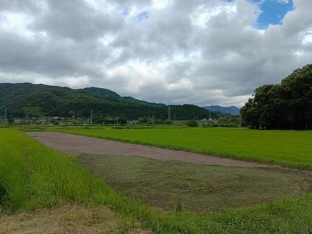田んぼ03 田んぼ03の写真