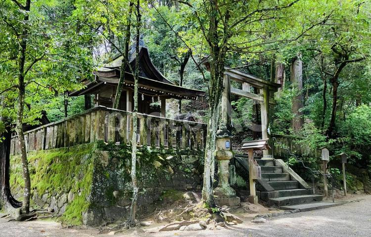 石上神宮　出雲建雄神社　猿田彦神社 石上神宮,奈良県天理市,十六社の写真素材
