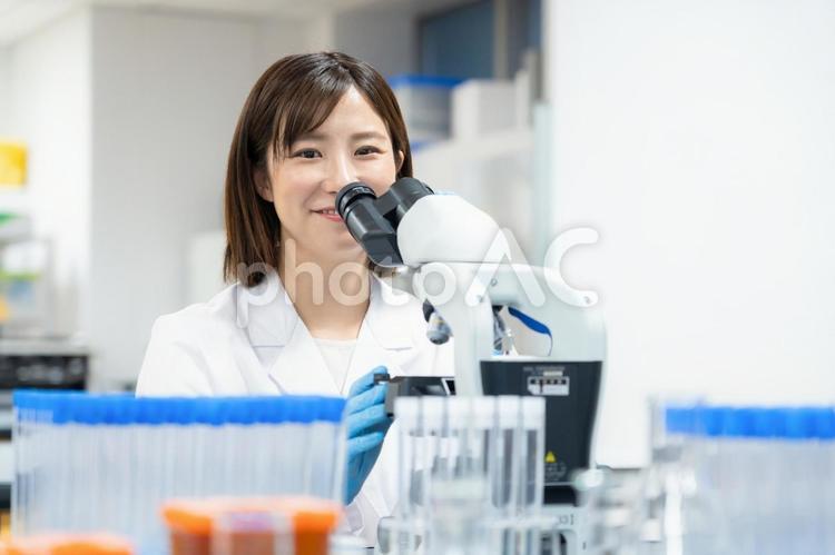 研究所で実験をする研究者 研究,実験,科学の写真素材