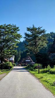 道 道 自然,田舎,新緑の写真素材