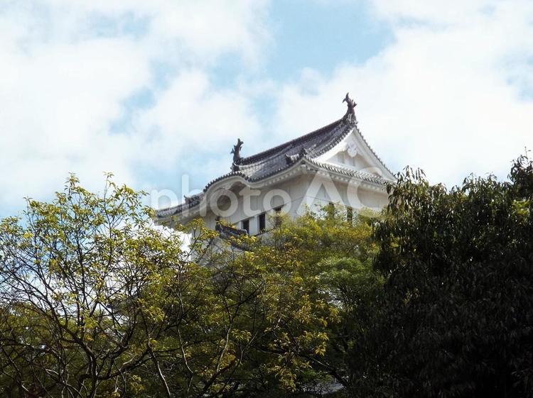 【風景写真】姫路城の風景 姫路城,天守閣,木造の写真素材
