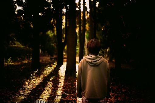 ＜素材＞夕暮れの森の中を散策する女性 女性,サンセット,夕方の写真素材