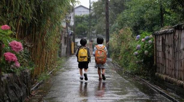 夏の雨上がりの通学路 夏の雨上がりの通学路の写真