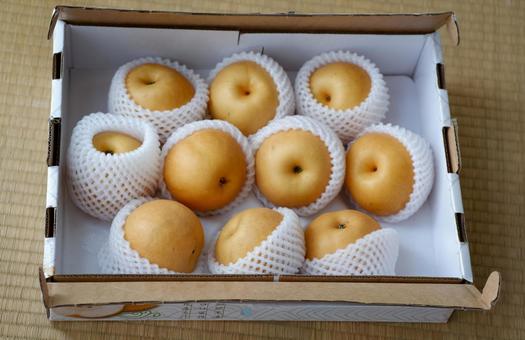 箱詰めされた梨の贈答用フルーツセット 箱詰めされた梨の贈答用フルーツセット 梨,果物,フルーツの写真素材