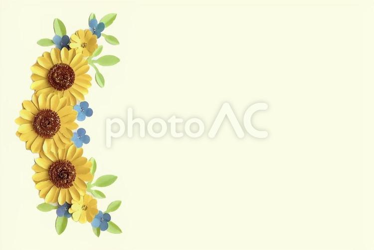 ひまわり　メッセージカード ひまわり,花,父の日の写真素材