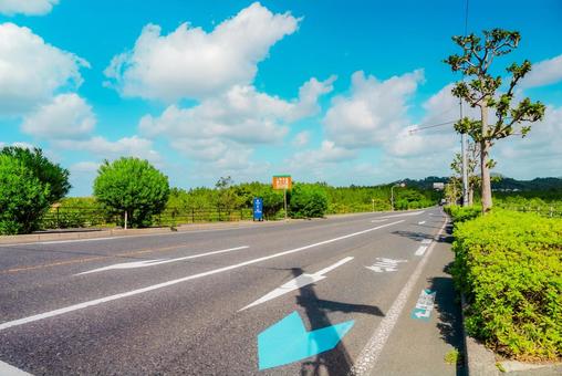 【鳥取】鳥取砂丘周辺の風景 砂丘,鳥取,鳥取砂丘の写真素材