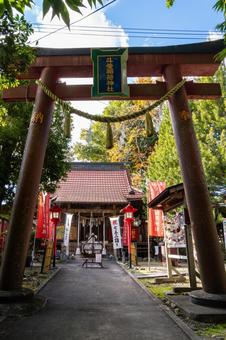 斗瑩稲荷神社⑺ 神社,斗瑩稲荷神社,とっけさまの写真素材