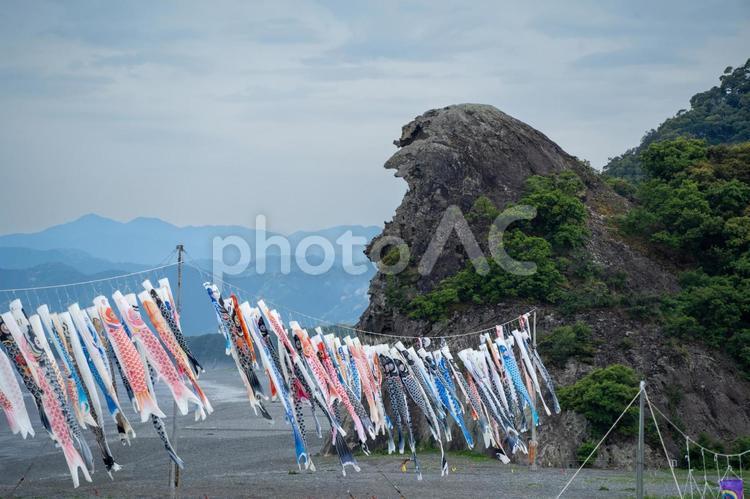 三重　獅子岩と鯉のぼり 獅子岩,獅子巌,鯉のぼりの写真素材