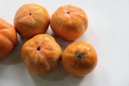 秋の味覚   柿 柿,秋の味覚,果物の写真素材