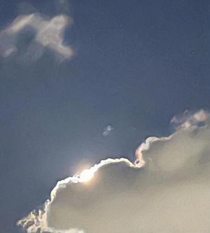 空を見上げて 空を見上げての写真