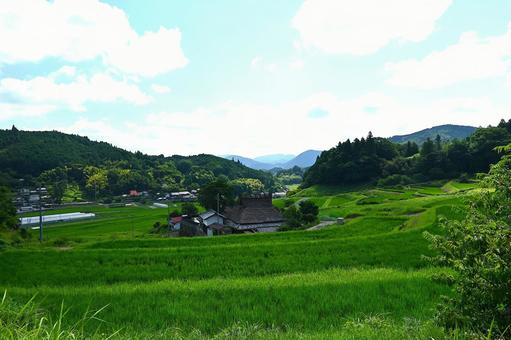 青空と美しい棚田の風景 青空と美しい棚田の風景の写真