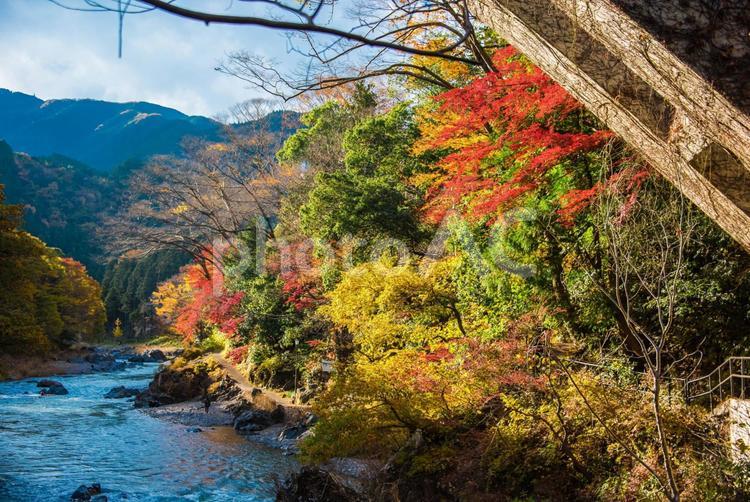 【東京・御嶽】紅葉・紅葉のイメージ 御嶽,観光,御嶽山の写真素材