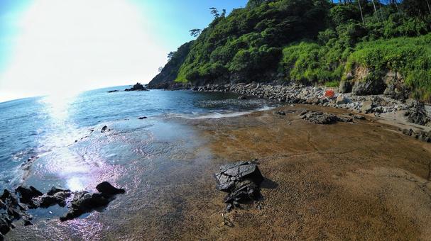 東尋坊 東尋坊 東尋坊,海,海岸の写真素材