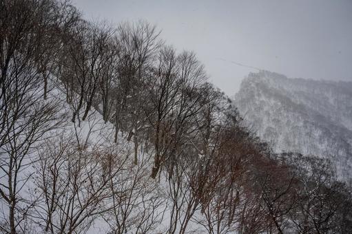 谷川岳ロープウェイから見た景色 谷川岳ロープウェイから見た景色の写真
