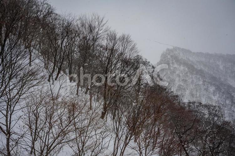 谷川岳ロープウェイから見た景色 谷川岳,ロープウェイ,銀世界の写真素材
